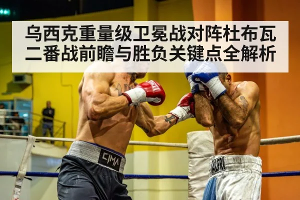 heavyweight boxers punching